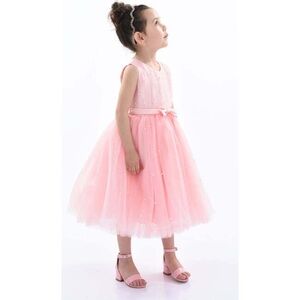 Pink Tulleen Dress for Girls